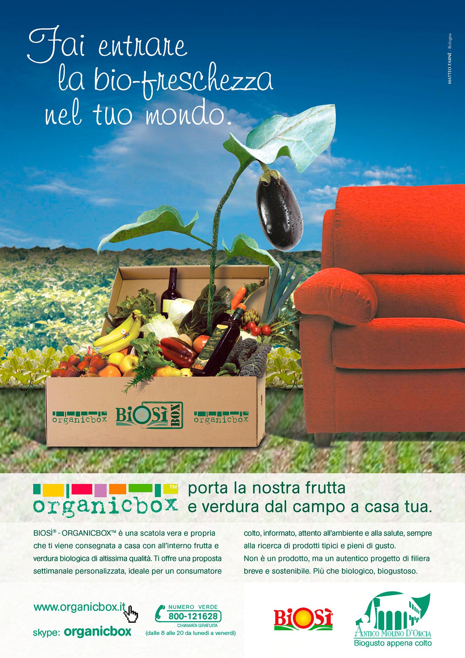 Matteo Farnè Immagine Coordinata Super Fish