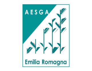 aesga alta formazione pubblicità