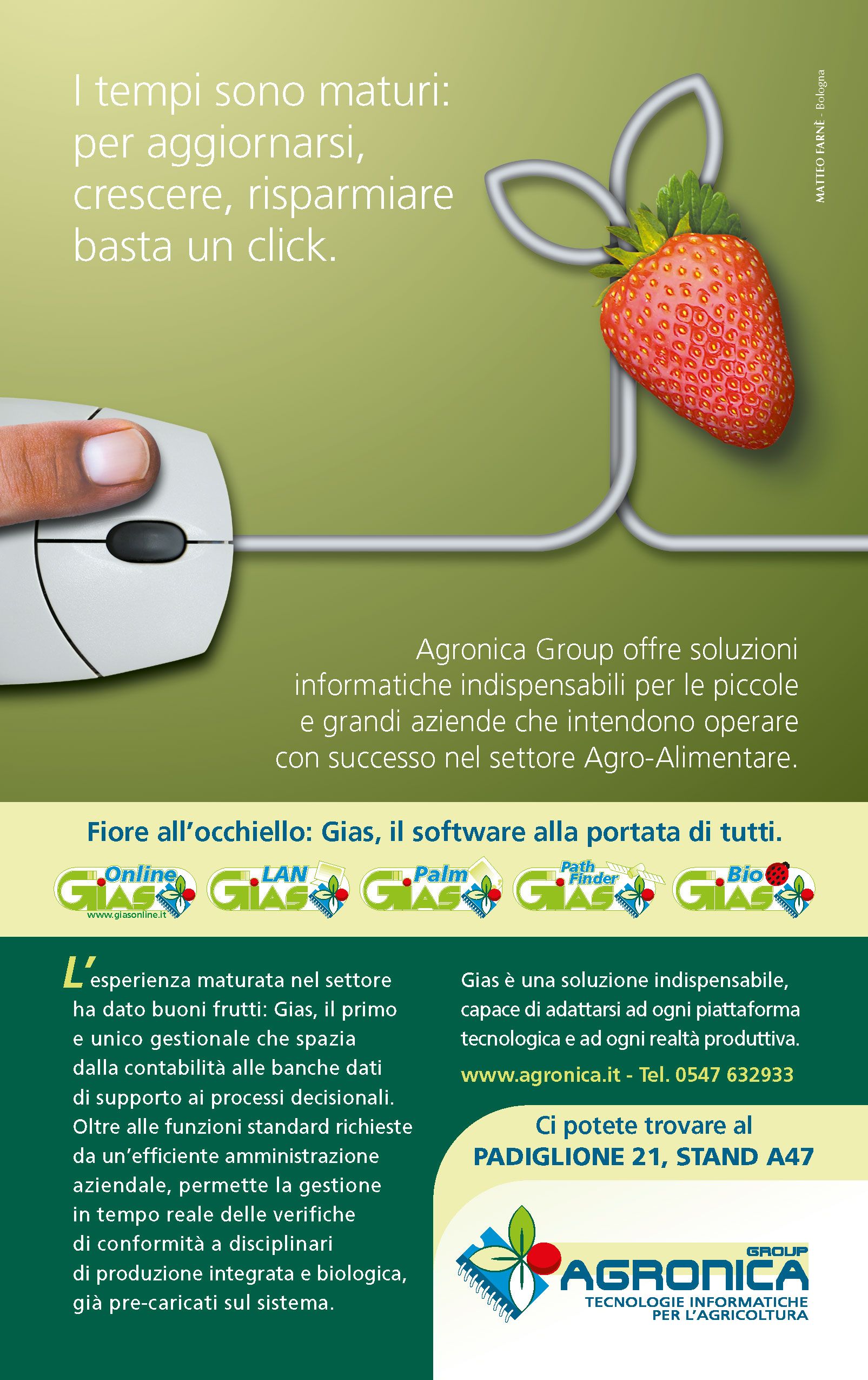 Matteo Farnè Immagine Coordinata Super Fish